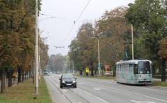 Mini IMG 9854